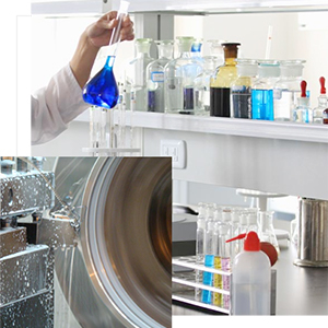 惠州樱花草网站在线观看:樱花草影视WWW在线中文的五个常见问题