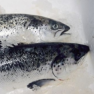 新发地三文鱼案板检测出新冠病毒,,北京多家超市连夜下架三文鱼,北京新增三个病例