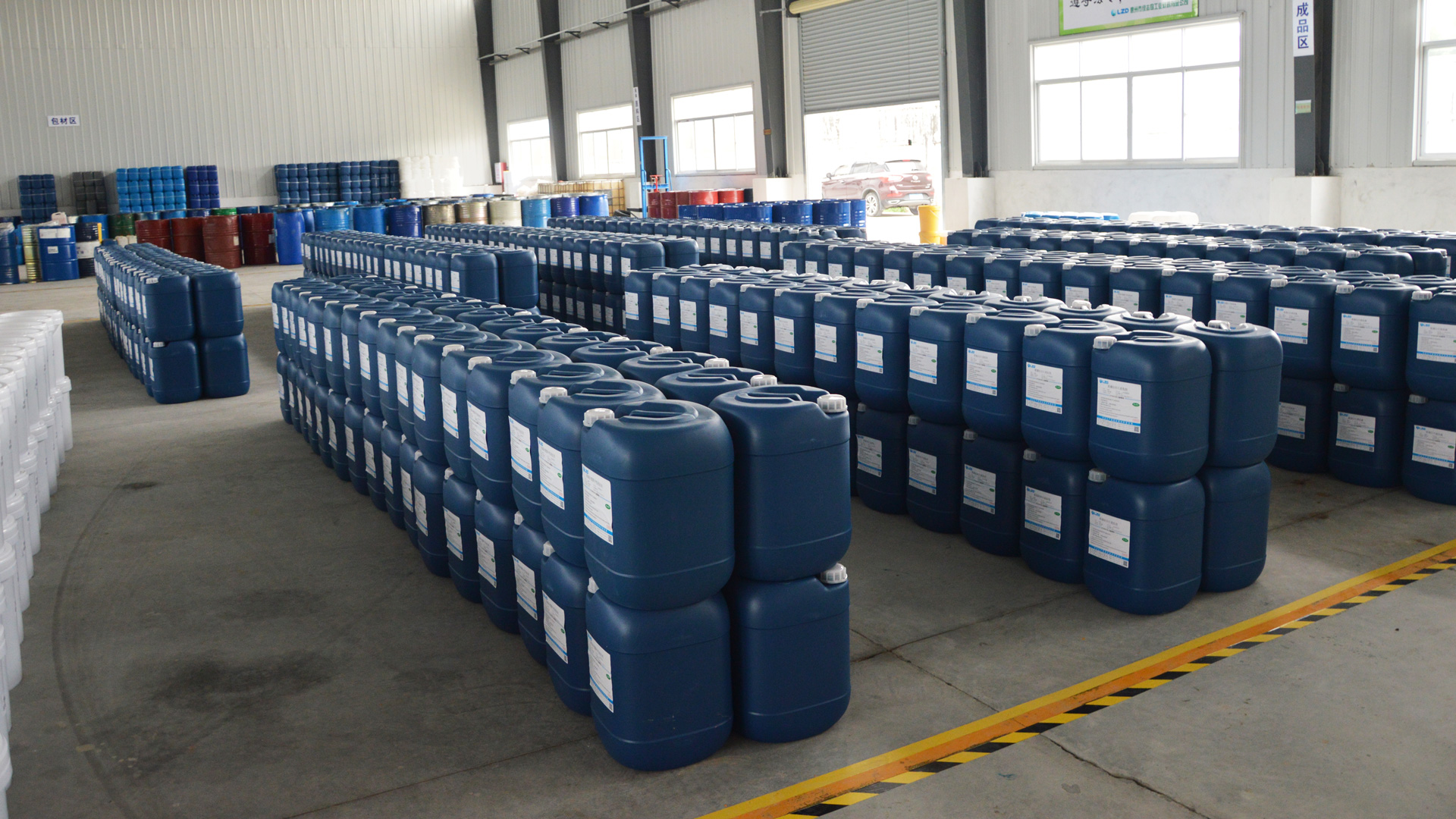 惠州樱花草网站在线观看 惠州樱花草网站在线观看