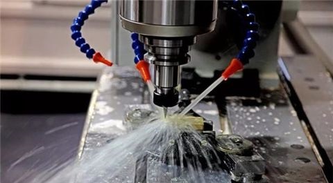 全合成樱花草影视WWW在线中文