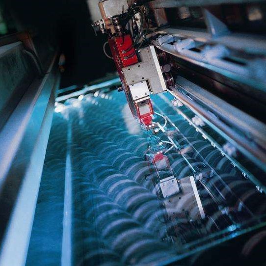 玻璃樱花草影视WWW在线中文