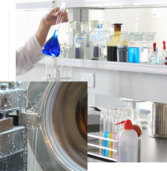 樱花草影视WWW在线中文