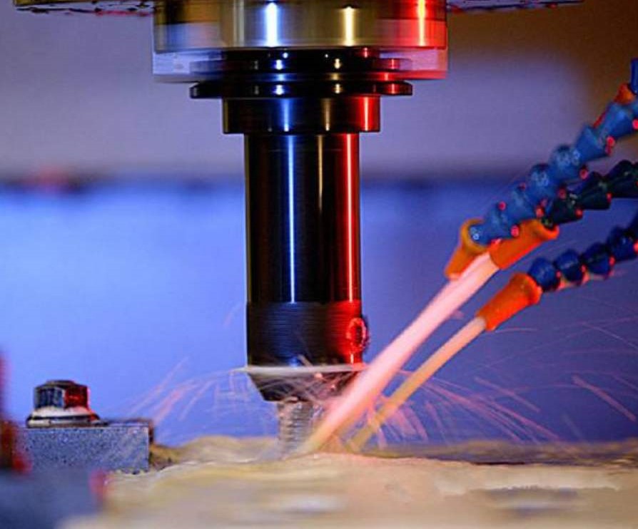 樱花草影视WWW在线中文的常用种类 樱花草影视WWW在线中文的常用种类