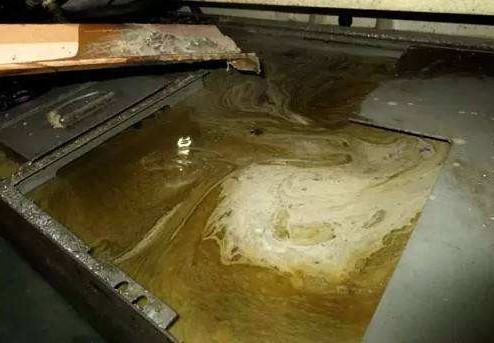 樱花草影视WWW在线中文过滤器 樱花草影视WWW在线中文过滤器