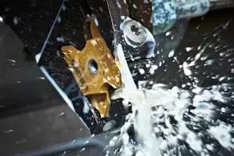 樱花草影视WWW在线中文发臭